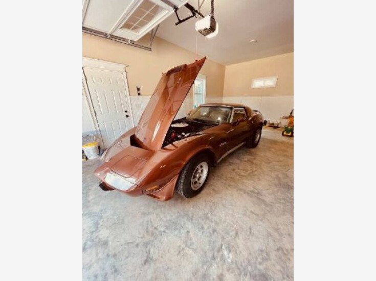 Thumbnail Photo undefined for 1976 Chevrolet Corvette Stingray